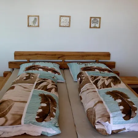 Hamito * 시베니크